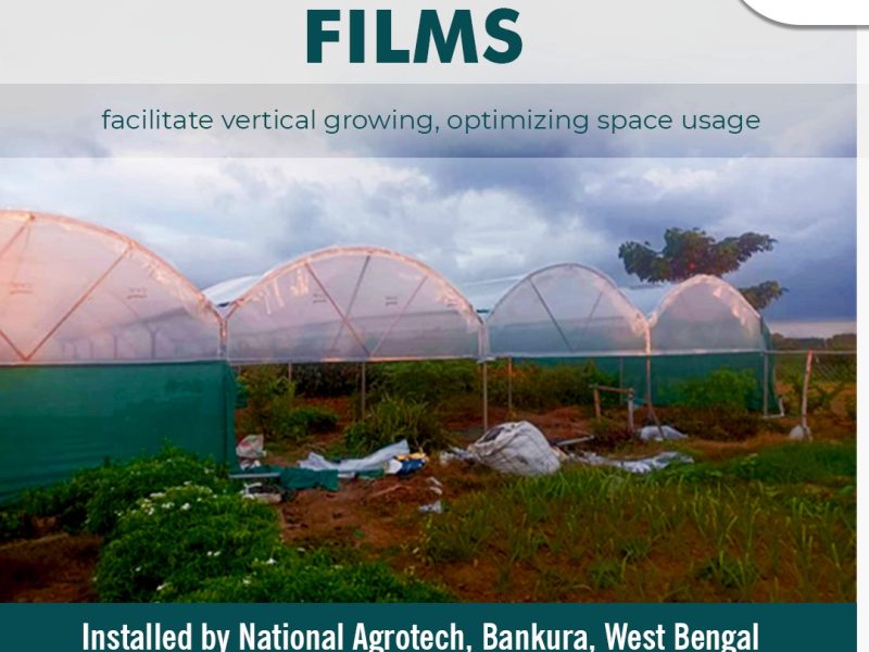 Protect Your Crops with High-Performance Greenhouse Films