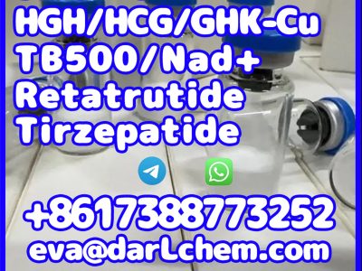 Low price Tirzepatide peptide Weight loss cas:2023788-19-2 Door to Door