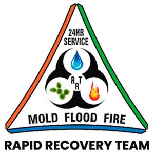 Professional Mold Inspection South Florida Services | Rapid Recovery Team