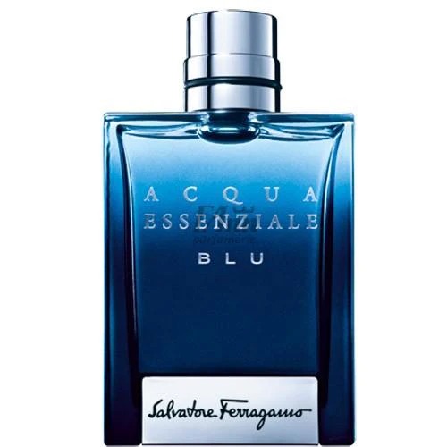 Discover Popular Men's Cologne – Premium Fragrances That Make a Lasting Impression | Shop Top Designer & Niche Scents Now