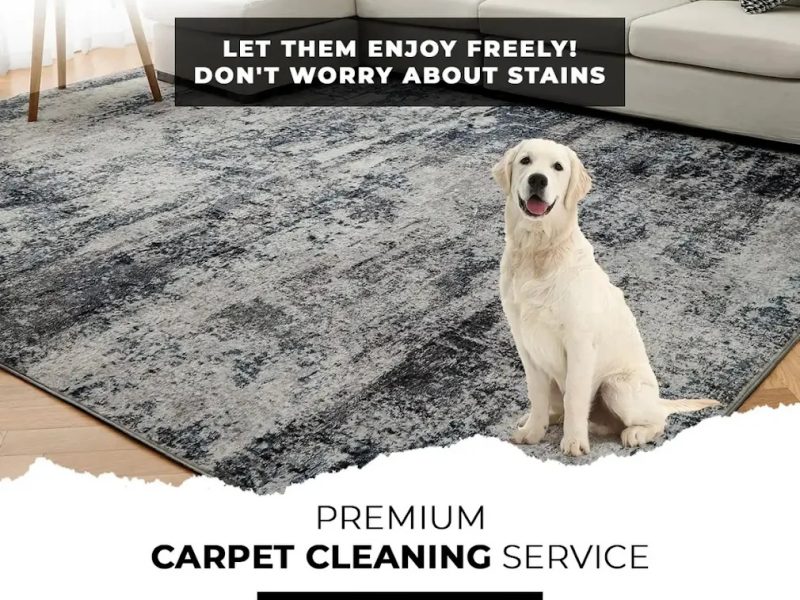 PREMIUM LAUNDRY SERVICE IN DUBAI- Swabi Laundry & Dry Cleaning Services