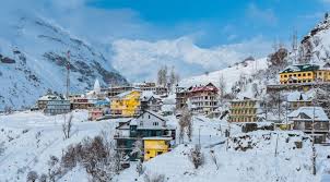 Manali Delights with Apple Country