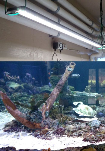 Lake Forest Office Led Lighting