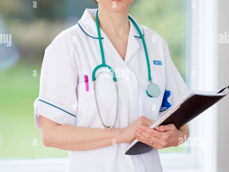 Capella DNP Preceptorship Help: A Complete Guide for Doctor of Nursing Practice Students