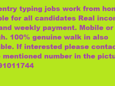Home based Data entry genuine project work with your flexible timings