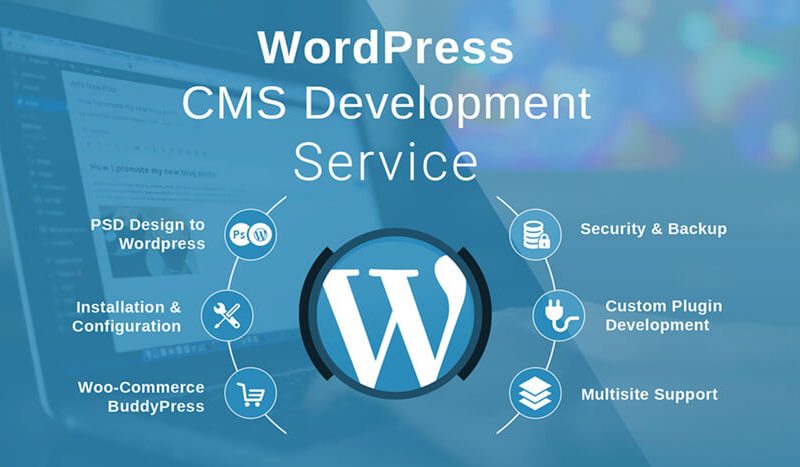 Mrs. Sushma Sain - CEO Of LIYAN IT SOLUTION | Hire Top WordPress Development Expert In Jaipur