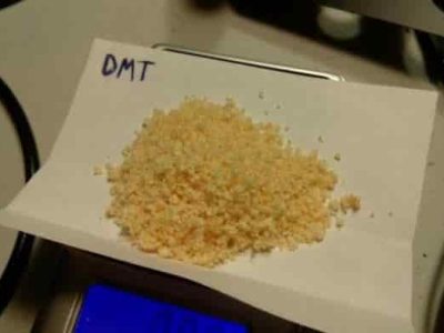 where to get dmt