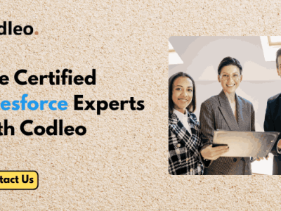 Salesforce Staff Augmentation Services | Hire Certified Salesforce Experts