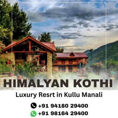Himalayan Kothi