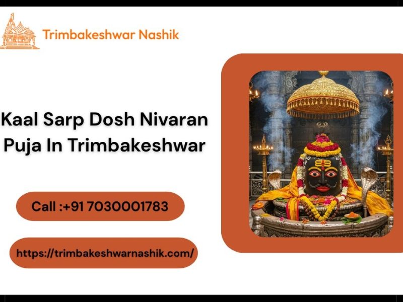 Kaal Sarp Dosh Nivaran Puja In Trimbakeshwar | Nashik