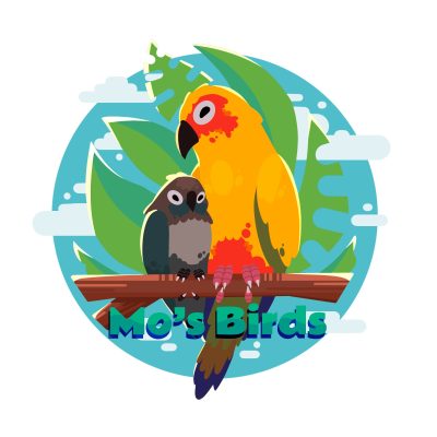 Mo's Birds
