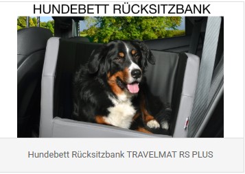 Reisen mit Hundetransport Rückbank – Komfortabel & Sicher