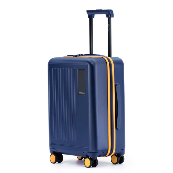 Best Luggage Brands in India