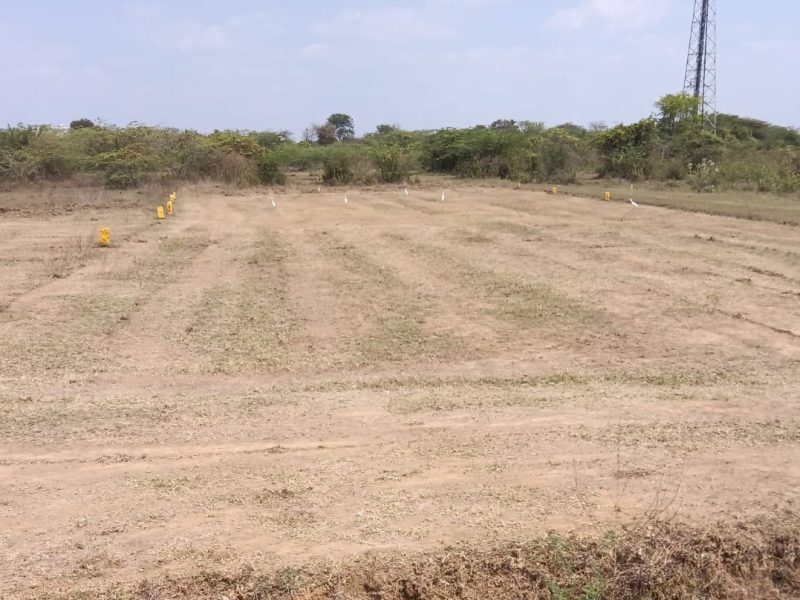  DTCP & RERA Approved plot for sale in Mosur.
