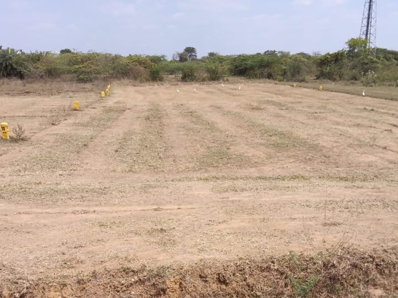  DTCP & RERA Approved plot for sale in Mosur.