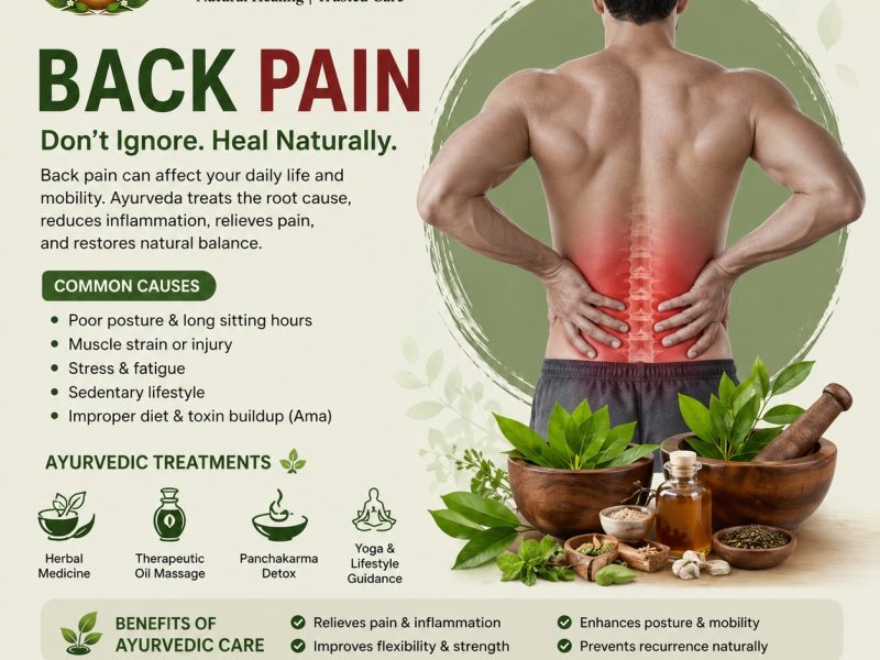Natural Kidney Stone Ayurvedic Treatment in Zirakpur Clinic