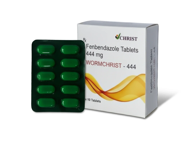 Wormchrist 444mg Wellness Tablets – Targeted Digestive Support for Parasite Concerns
