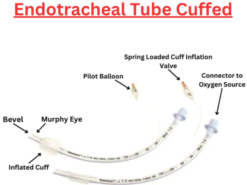 Top Endotracheal Tubes Manufacturing Company