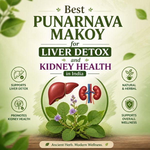 Makoy Benefits for Liver Cleansing and Digestive Health