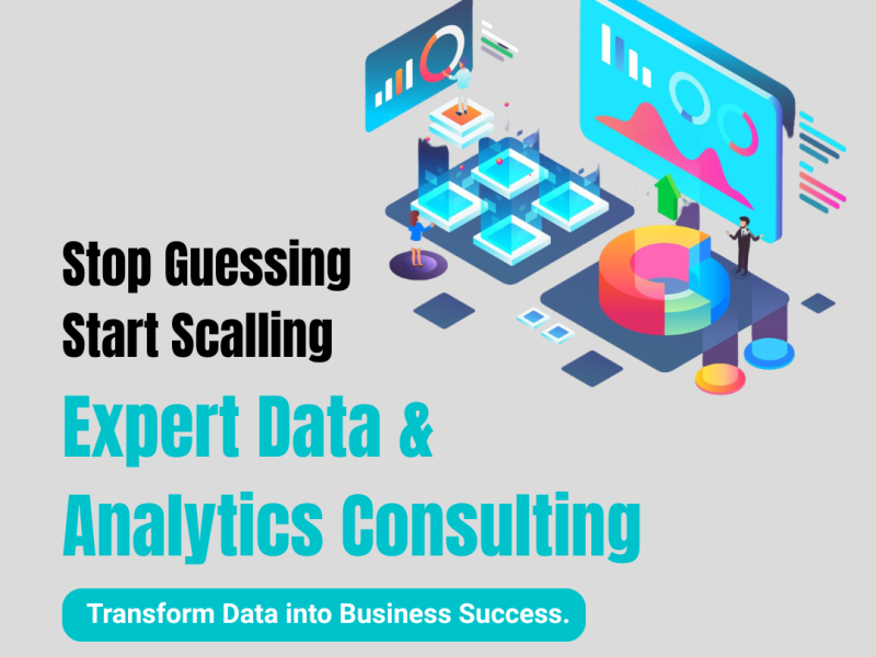 Stop Guessing, Start Scaling: Expert Data & Analytics Consulting