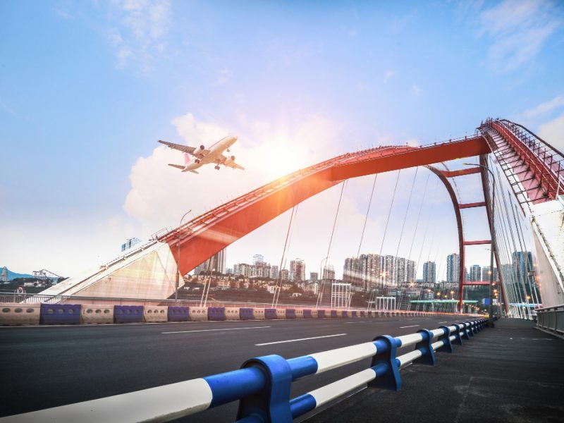 How Much Does Delta Charge for Pets? | The Jersey Flights