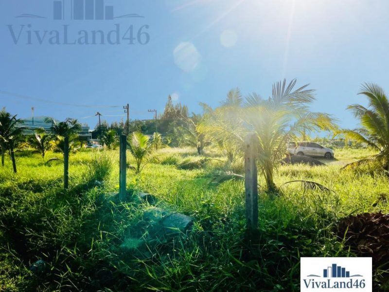 PRIME LAND | HEART OF PATONG