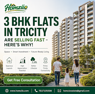 Premium 3 BHK Flats for Sale in Mohali & Chandigarh | Homziio