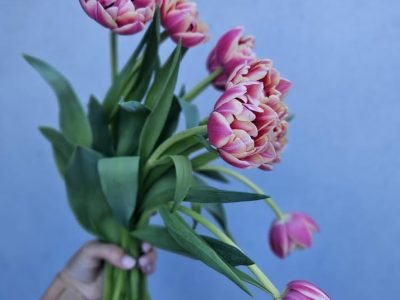 Beautiful Birthday Flowers Sydney to Make Every Celebration Special