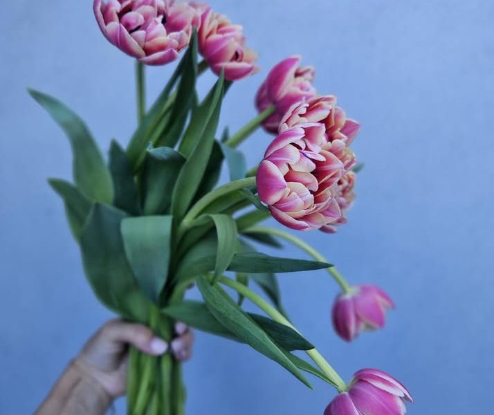 Beautiful Birthday Flowers Sydney to Make Every Celebration Special