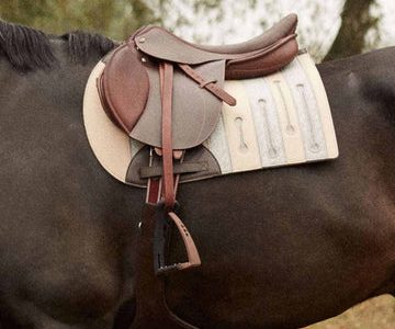 Best Saddle Pads for Horses – Shop Quality Equestrian Saddle Pads