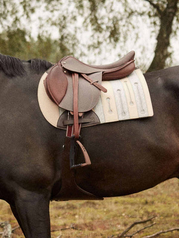 Best Saddle Pads for Horses – Shop Quality Equestrian Saddle Pads