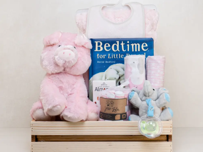 Baby Girl Gift Baskets for Newborn Celebrations
