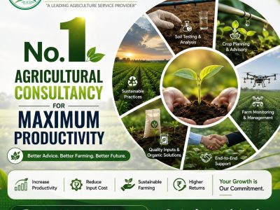 Best Agricultural Consultancy Maximum Productivity