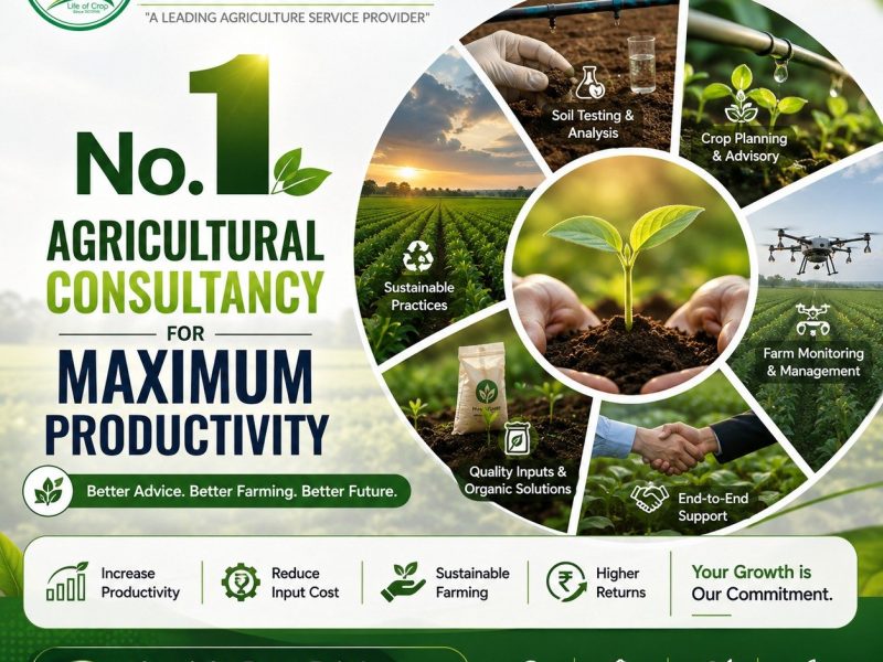 Best Agricultural Consultancy Maximum Productivity