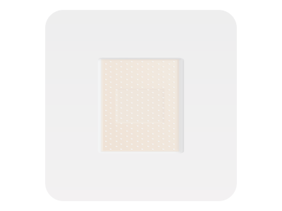 Clarop – Transparent Film Dressing with Non-Adherent Pad | B2B Export Inquiry