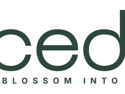 Cedar Cosmetics | Authentic Beauty & Korean Skincare UAE
