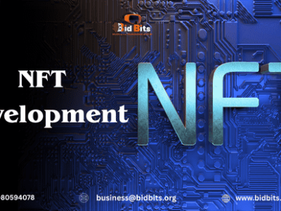 Build NFT Staking Mechanisms with Advanced NFT Development