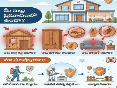 Pest control services in Hyderabad | Pester india