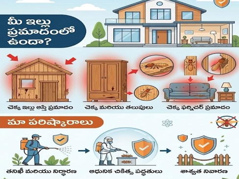 Pest control services in Hyderabad | Pester india