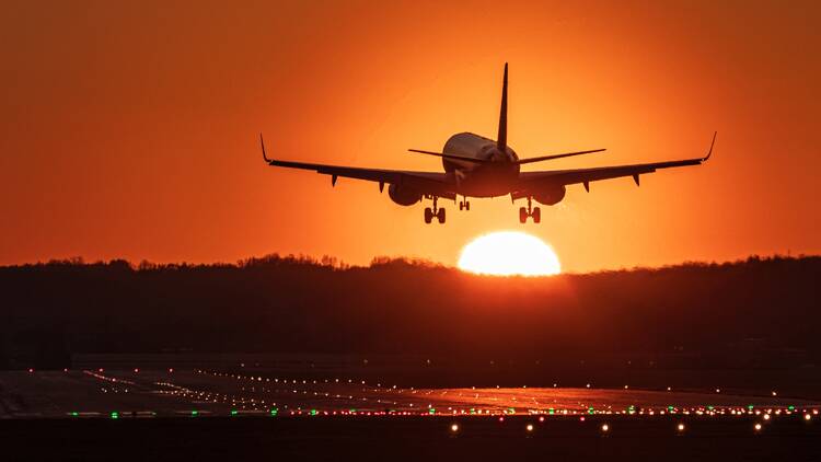 Best Travel Tips for Los Angeles International Airport