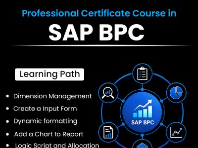 SAP BPC Online Training | Business Planning & Consolidation Certification