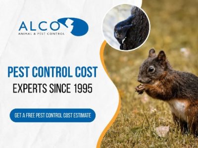 Pest Control Cost: Save $30 OFF First-Time Treatment