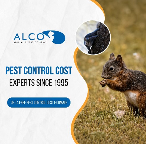 Pest Control Cost: Save $30 OFF First-Time Treatment