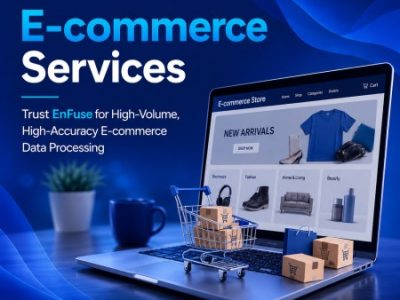 Trust EnFuse for High-Volume, High-Accuracy E-commerce Data Processing