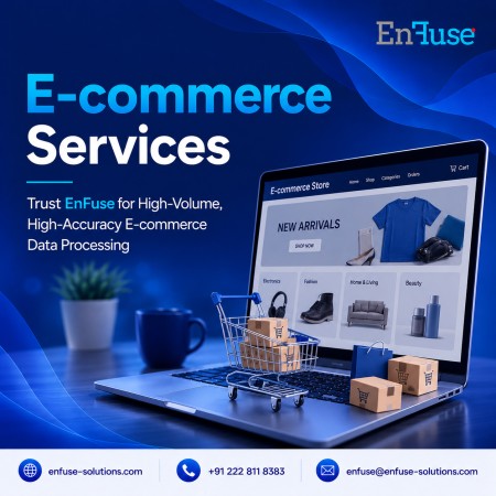 Trust EnFuse for High-Volume, High-Accuracy E-commerce Data Processing