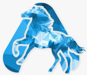 SEO Agency in Mohali