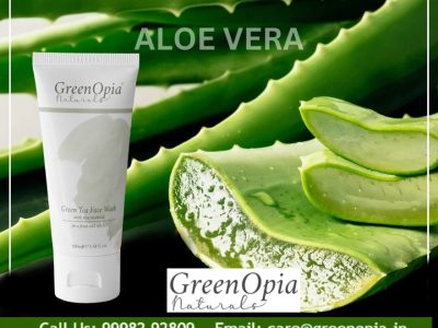 Why Your Oily Skin Needs Aloe Vera in a Green Tea Face Wash - Greenopia