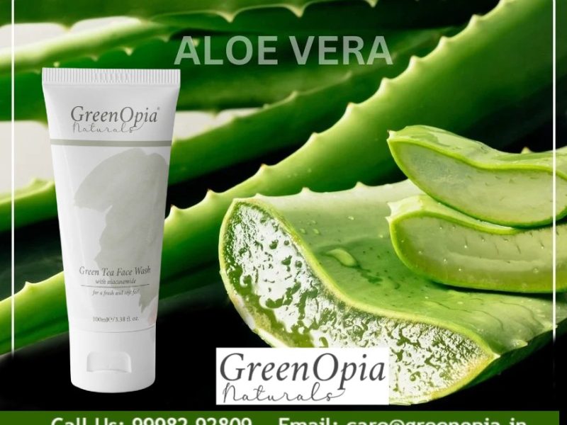 Why Your Oily Skin Needs Aloe Vera in a Green Tea Face Wash - Greenopia