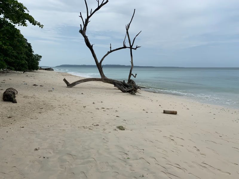LTC Essential Andaman Budget Package | Online Vacations