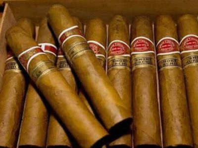 Trusted Cigar Wholesale Bulk Supplier for Premium Tobacco Distribution Worldwide